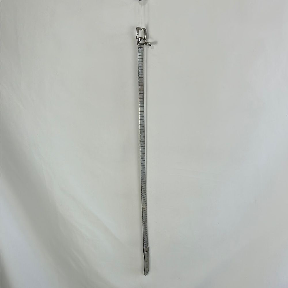 Silver Mesh Vintage Belt